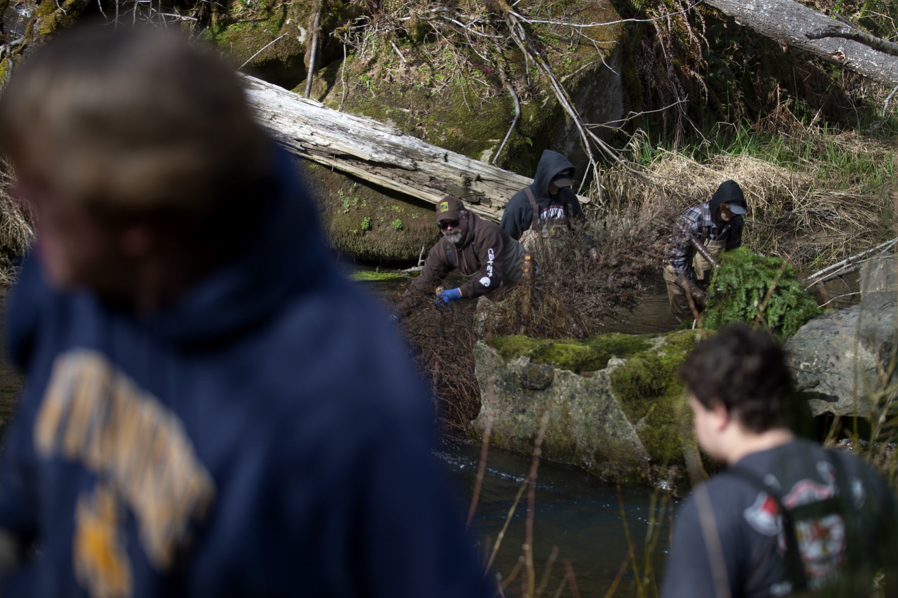 Camp Creek Restoration